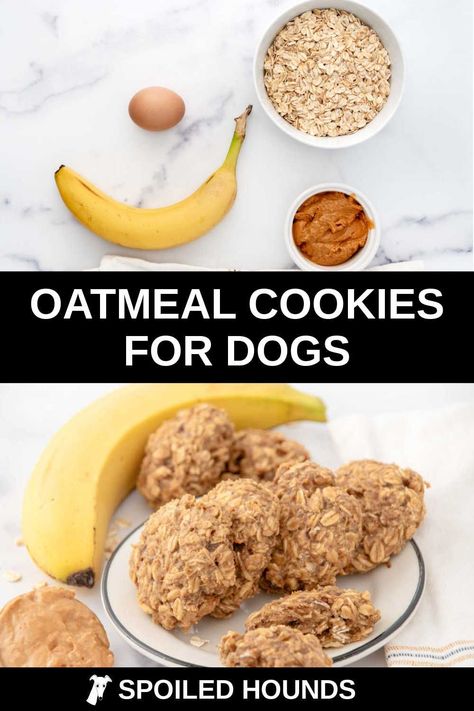 Diy Dog Cookies, Cookies For Dogs, Baked Dog Treats, Homemade Oatmeal Cookies, Cookies With Peanut Butter, Yummy Oatmeal, Dog Cookie Recipes, Homemade Dog Cookies, Pet Treats Recipes