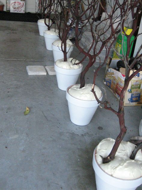 DIY- setting branches in pots using spray foam: Add some moss to the top of the foam add lights and there you have it...Add some white fairy lights and it's also a light fixture. This would be pretty at Christmas with a just a few lights and ornaments - one for each child. Manzanita Branch Centerpieces, Branch Centerpieces, Cheap Christmas, Spray Foam, Theme Halloween, Deco Floral, Reggio Emilia, Noel Christmas, Cheap Decor