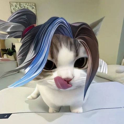 𝗚𝘆𝗲𝗼𝗹🐬 on TikTok Couple Mlbb, Legend Cat, Mlbb Icons, Hello Kitty Videos, Nature Photography Flowers, Cat Cosplay, Duos Icons, Anime Boy Hair, Best Anime Couples