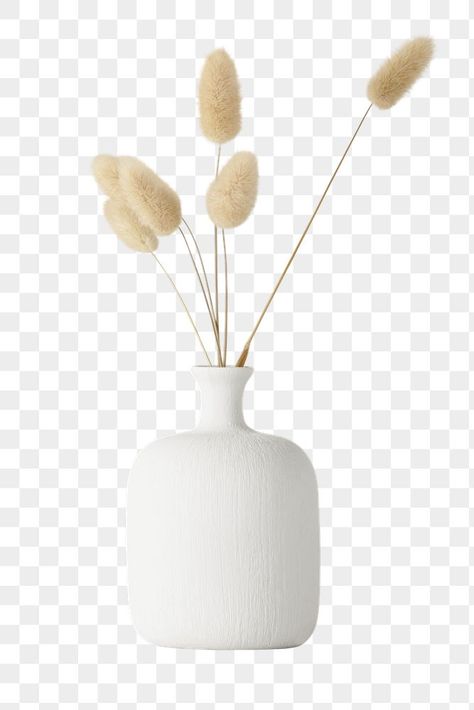 Vase Png, Branch Vase, Studio Background Ideas, Furniture Png, Gallery Wall Template, Graphic Design Mockup, Plant Png, Mickey Mouse Wallpaper Iphone, Drawing Furniture