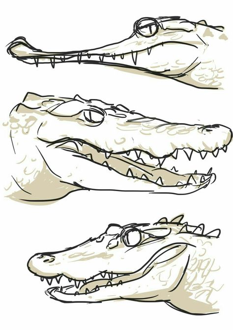 Gharial Crocodile, Nature Sketches, Crocodile Illustration, Alligators Art, Drawing Help, Art Pins, Animal Study, Yellow Design, Crocodiles