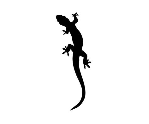 Small Lizard Tattoo, Iguana Tattoo, Tattoo Main, Gecko Tattoo, Lizard Tattoo, Fern Tattoo, Small Lizards, Funky Tattoos, Handpoke Tattoo