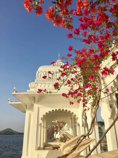 Taj Lake Palace Udaipur Photography, Pastel Desi Aesthetic, Indian Travel Aesthetic, Indian Palace Aesthetic, Indian Architecture Aesthetic, Aesthetic Udaipur, Udaipur Aesthetic, Rajasthan Aesthetic, Udaipur Photography