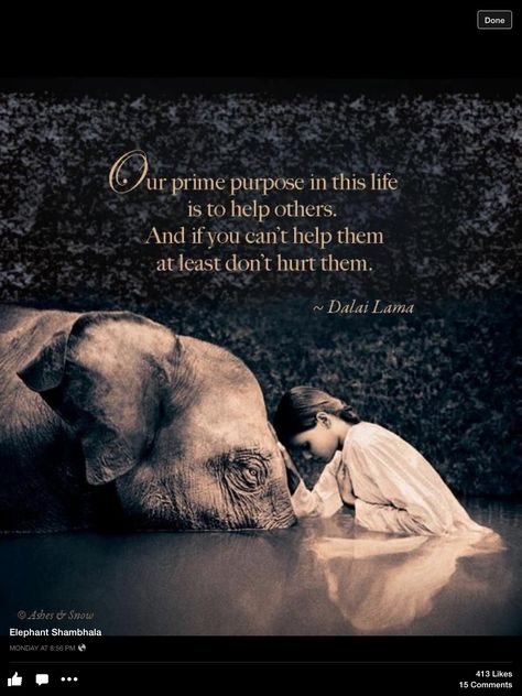 "Our prime purpose in this life is to help others. If you can't help them, at least don't hurt them." -- Dalai Lama. Diet Restrictions, Bypass Surgery, Counting Calories, Gastric Bypass, Help Others, An Elephant, Dalai Lama, A Quote, Beautiful Quotes