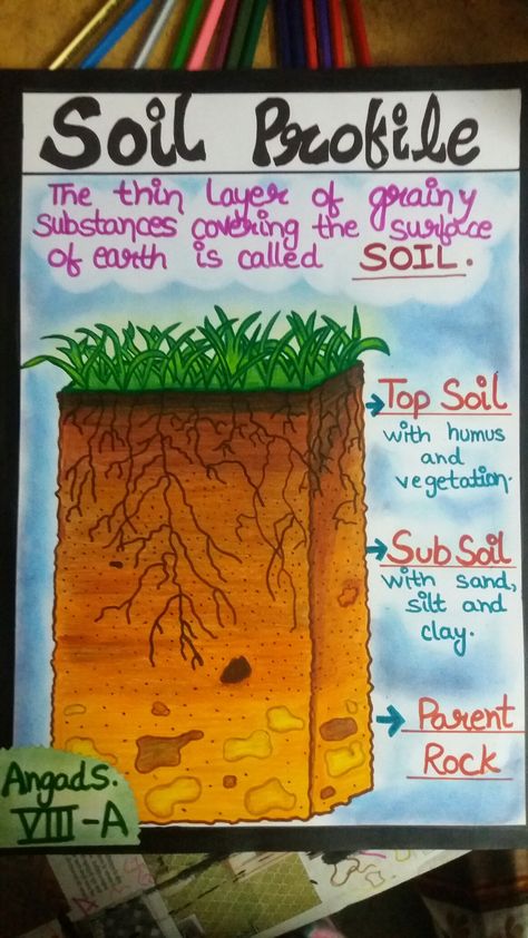 Soil profile - Pencil colour and dry pastels Soil Profile Project, Soil Profile, Environment Drawing Ideas, Types Of Soil Chart, Soil Erosion Poster, Social Studies Projects, Profile Drawing, Rainy Day Aesthetic, Classroom Charts