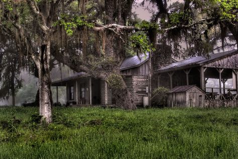 Creepy summer camp aesthetic: counselors lodges. 80s Horror Movies, La Grange Texas, Scary Woods, Summer Camp Aesthetic, Camping Books, Camping In The Woods, Camp House, Yellowstone Camping, Little Cabin In The Woods