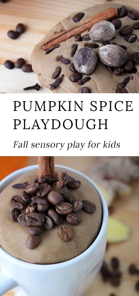 Indulge your child's senses with the rich scents of nutmeg, clove, cinnamon, and coffee beans in this buttery soft Pumpkin Spice Latte Playdough. It's the perfect fall playdough recipe! #playdoughrecipes #fallplaydough #pumpkinspice #sensoryplay Playdough Pumpkin Activity, No Cook Pumpkin Playdough, Pumpkin Spice Playdough, Apple Spice Playdough, Fall Scented Playdough, Sands Recipe, Educational Activities For Preschoolers, How To Make Pumpkin, Playdough Recipe