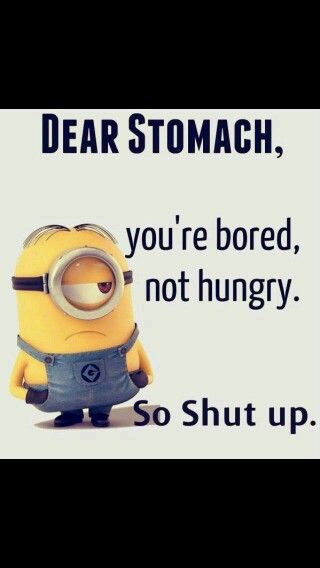 Hungry bored... Quotes Loyalty, Grumpy Cats, Not Hungry, Minions Humor, Funny Minion Pictures, Funny Minion Memes, Minion Pictures, Minion Jokes, Minions Love