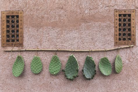 Berber Lodge - Picture gallery Berber Lodge, String Garden, Rustic Recipes, Coastal Farmhouse Decor, Small Vegetable Gardens, Tile Covers, Mood Colors, White Carpet, Desert Oasis