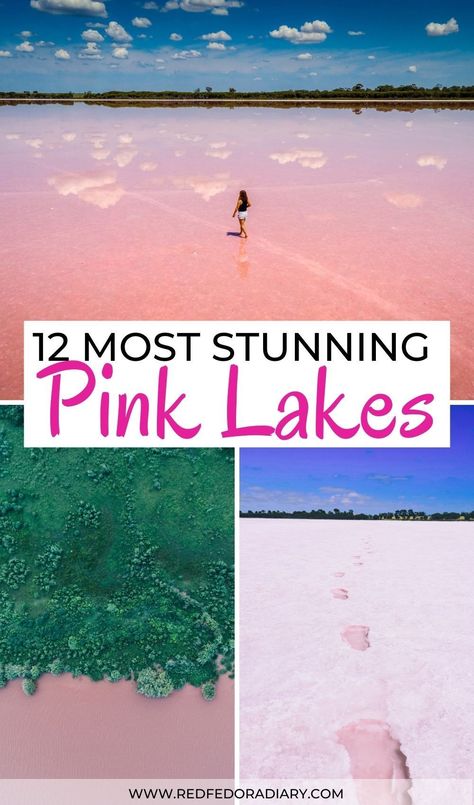 all the gorgeous pink lakes around the world Pink Lake Utah, Pink Lake Torrevieja, Pink Lakes Australia, Keuka Lake Ny, Red Fedora, Bucket List Items, Keuka Lake, Greece Itinerary, Pink Lake