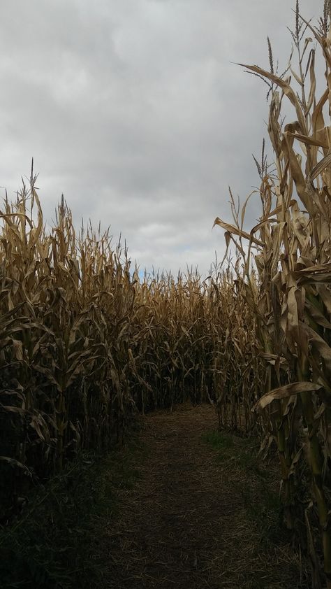 Halloween Farm Aesthetic, Gloomy Countryside, Spooky Cornfield, Corn Maze Aesthetic, Barn Aesthetic, Amish Farm, Fall Mood Board, Country Lifestyle, Corn Maze