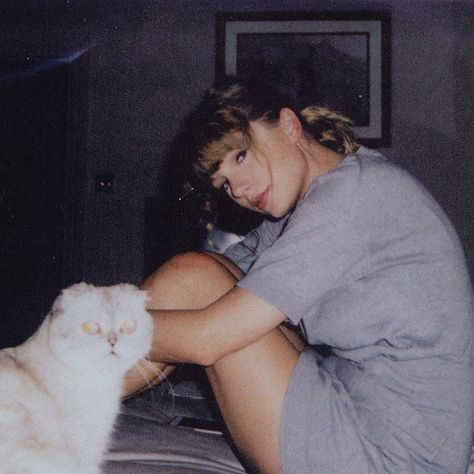 Taylor Swift icons - like or reblog if you save Taylor Swift Cat, Taylor Swift Fotos, Charlie Heaton, Estilo Taylor Swift, Swift Photo, Bonnie N Clyde, Taylor Swift Funny, Taylor Swift Wallpaper, Long Live Taylor Swift