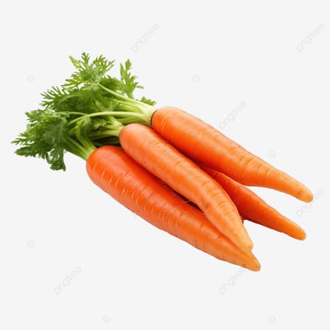 fresh carrot isolated png Carrot Cartoon, Background Cartoon, Carrot Sticks, Png Background, Transparent Image, Cartoon Background, Background Png, Png Transparent, Free Png