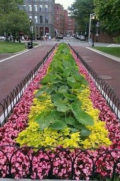 Unity In Landscape Design, Commercial Landscape Design Entrance, Commercial Landscape Design Ideas, Subdivision Entrance Landscaping, Road Landscape Design, Fall Landscaping Front Yard, Commercial Landscape Design, Fall Landscaping, Commercial Landscape