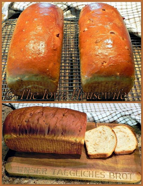 The Iowa Housewife: Chunky Peanut Butter Bread Grape Nuts Recipes, Iowa Recipes, Butter Bread Recipe, Cereal Mix, Peanut Butter Bread, Grape Nuts, Cuisinart Food Processor, White Bread Recipe, Chunky Peanut Butter