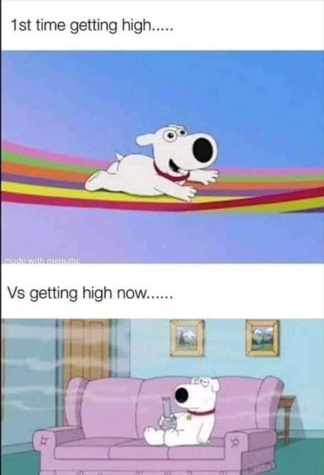 brian high on couch riding a rainbow Brian Family Guy, High Quotes, High Jokes, Getting High, Puff And Pass, Funny Relatable Quotes, Really Funny Pictures, Just Girly Things, 4 20