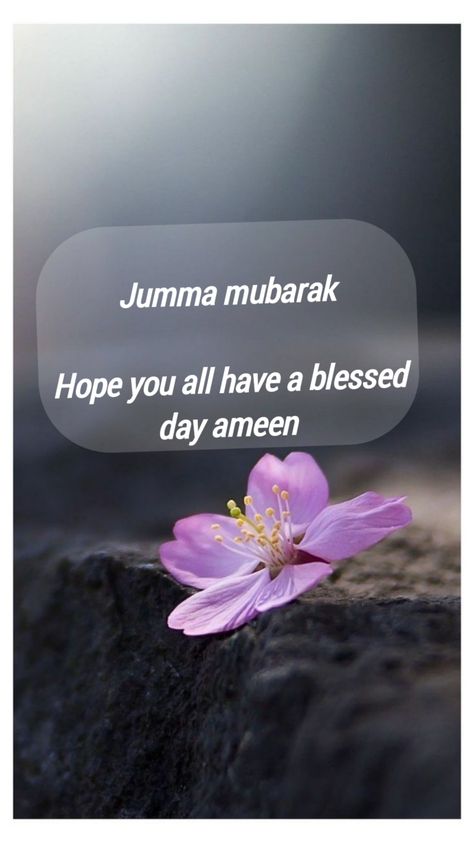 Have A Blessed Friday Islam, Friday Islam, Juma Mubarak Pictures, Have A Blessed Friday, Jummah Mubarak Messages, Jumma Mubarak Dua, Jumuah Mubarak, Diwali Photography, Jumma Mubarak Quotes