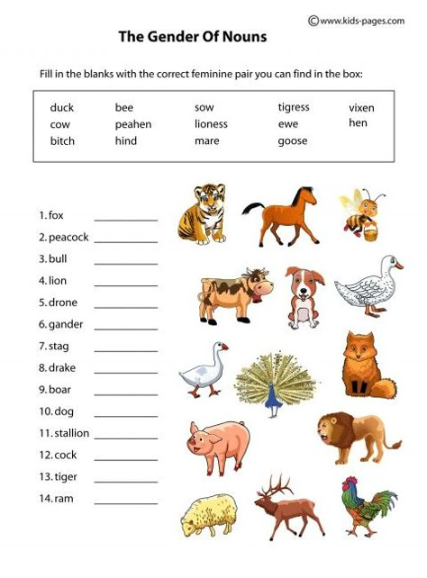 lots of work sheets Gender Worksheet, Gender Worksheet Grade 4, Gender In English, English Grammar For Kids, Nouns Worksheet, Animal Adaptations, Grammar For Kids, Animal Worksheets, Learning English For Kids