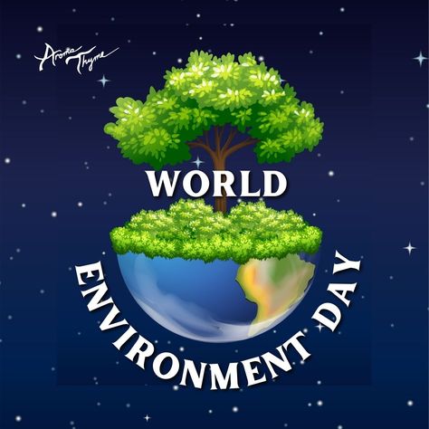 World Environment Day is celebrated annually on 5 June and encourages awareness and action for the protection of the environment. . . . . . #WorldEnvironmentDay #WorldEnvironmentDay2024 #WorldEnvironment #WorldEnvironmentalDay #saveouroceans #saveourseas #saveourplanet Oil Fragrances, Save Our Oceans, World Environment Day, Environment Day, Essential Oil Fragrance, The Environment, Essential Oils Aromatherapy, Aromatherapy, Essential Oil