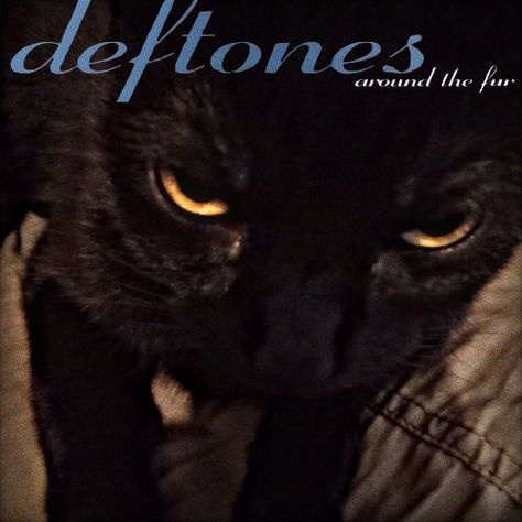 Deftones Cat, Around The Fur, My Jam, Cat Posters, Abstract Photos, Silly Cats, Room Posters, Cat Pics, Cool Bands