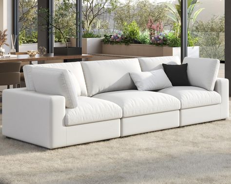 Contemporary couches