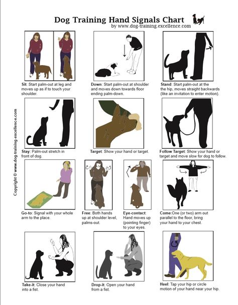 Dog Training Hand Signals http://www.dog-training-excellence.com/dog-training-hand-signals.html Dog Sign Language Hand Signals, Hand Signals For Dogs, Deaf Dog Training Hand Signals, Dog Sign Language, Guard Dog Training, Dog Training Hand Signals, Dog Commands Training, Dog Hand Signals, Johnny Ringo