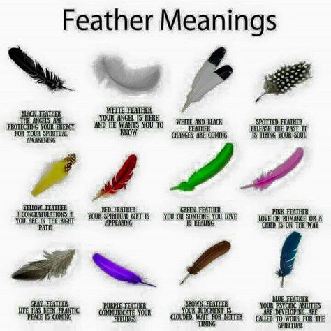 guinea fowl feather spiritual meaning - : Yahoo Image Search Results White Feather Meaning, Feather Color Meaning, Feather Magic, Finding Feathers, Feather Tattoo Meaning, Feather Meaning, Native American Symbols, Witch Spirituality, American Symbols