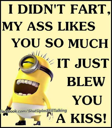 I didnt fart! Fart Quotes, Pallet Woodworking, Minion Humor, Minion Memes, Funny Minion Pictures, Funny Minion Memes, Fart Humor, Laughter Therapy, Cricket Projects