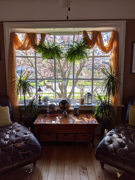 Front Window Interior Decor, Bay Window Shelf Decor, Bay Window Cottage, Mcm Bay Window, Picture Window Decorating Ideas, Bay Windowsill Decor, Bay Window Drapes Ideas, In Front Of Window Decor, Cottagecore Bay Window