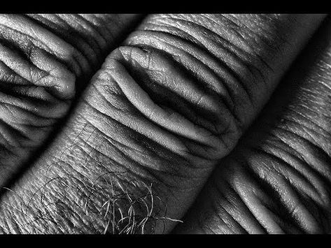 Body Landscape, Metal Brick, Photography Gcse, Elements Photography, Black And White Texture, Gcse Photography, Texture Ideas, Landscape Pavers, Texture Board