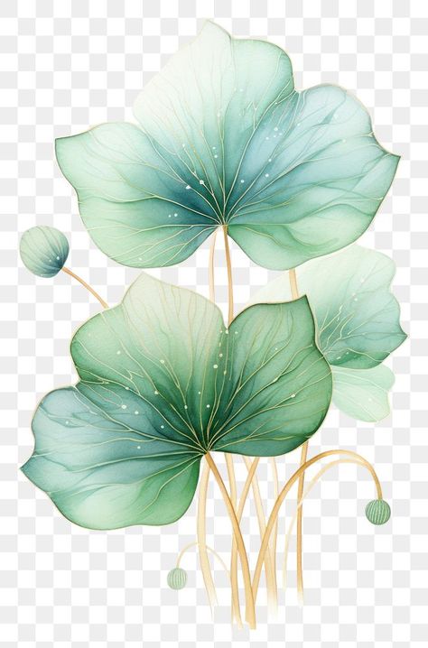 Lotus Leaf Drawing, Lotus Leaf Painting, Dupatta Painting, Chinese Lotus, Lotus Painting, Leaf Outline, Lotus Art, Leaf Drawing, Lotus Leaves