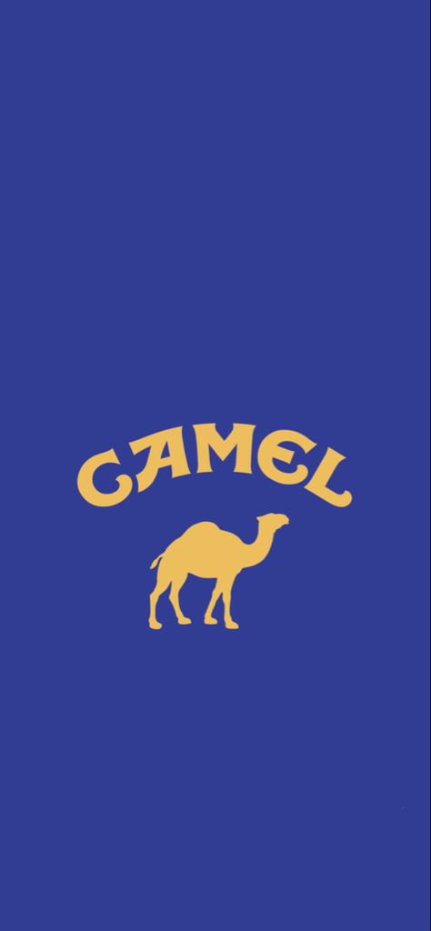 Camel Wallpaper, Iphone Wallpapers, Mobile Wallpaper, Surfboard, Camel, Iphone Wallpaper, Wallpapers, Iphone, Quick Saves