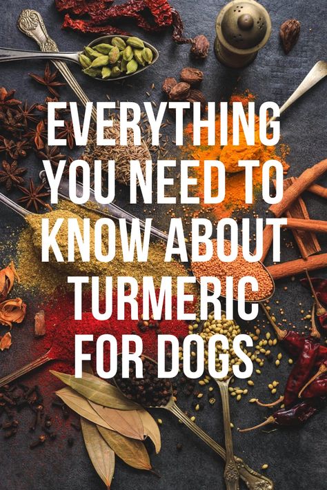 Turmeric For Dogs, Veggies And Rice, Meds For Dogs, Half Chicken, Benefits Of Turmeric, Anti Inflammation Recipes, Parent Tips, Dog Food Treats, Dog Remedies