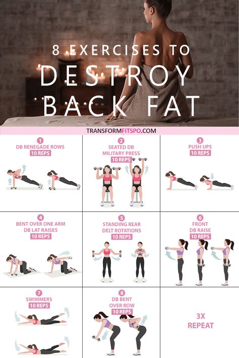 Back Exercises Women At Home Weights, Back Day At Home, Back Exercise At Home, Ab Day At The Gym, Back Day Workout At Home, Runners Body Transformation, Ab Day Workout, Exercises For Back Fat, Lower Back Fat