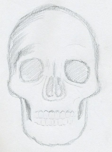 what+to+draw | click the image to enlarge Easy Skull Drawings, Easy Pencil Drawings, Skull Sketch, Pencil Sketch Drawing, Art Sketches Doodles, Skulls Drawing, Cool Pencil Drawings, Pencil Drawings Easy, Art Sketches Pencil