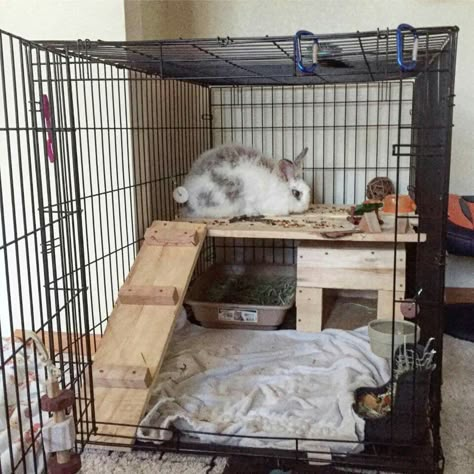 Bunny House Diy Bunny Cage, Indoor Rabbit House, Diy Rabbit Cage, Indoor Rabbit Cage, Rabbit Habitat, Pet Rabbit Care, Bunny Hutch, Bunny Room, Pet Bunny Rabbits