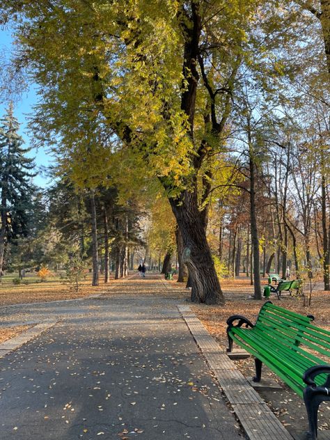 Moldova Aesthetic, Chisinau Moldova, Park Benches, Dream Trips, Landlocked Country, Autumn Park, Beautiful Park, European Travel, Eastern Europe