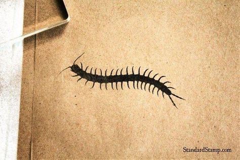 Small Centipede Tattoo, Kakashi Tattoo, Centipede Tattoo, Anime Sleeve, Basic Tattoos, Arm Drawing, Stick N Poke Tattoo, Tattoo Portfolio, Poke Tattoo