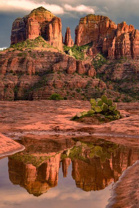 Sedona Arizona Travel, Arizona Mountains, Cathedral Rock, Colorado Plateau, Arizona Landscape, Pretty Landscapes, Arizona Travel, Sedona Arizona, Desert Landscaping