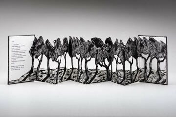 Grove is a hand made artist book by Kathy Fahey depicting a group of trees and referencing the poem Grove by Margaret Tait. Pop Up Books, Staircase Art, Artists Book, Book Art Sculptures, Concertina Book, Artists Books, Accordion Book, Hollow Art, Pop Up Art