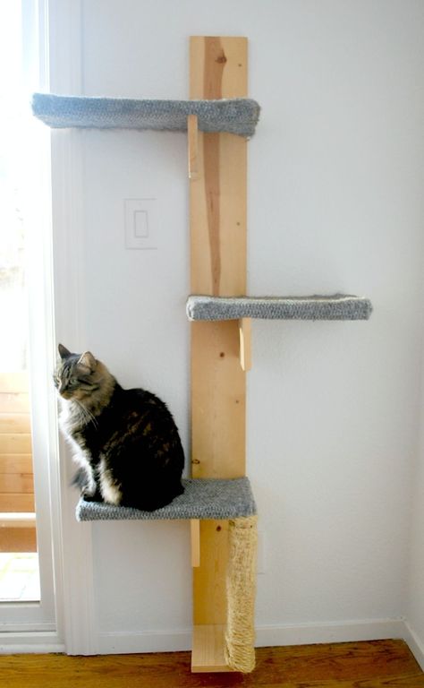 Cat Tower Plans, Cats Tree, Diy Cat Tower, Cat Tree Plans, Katt Diy, Katt Grejer, Kat Diy, Chat Diy, Diy Cat Tree