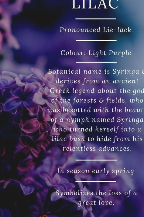 Lilac Meaning, Flower Arrangements Purple, Meaning Flowers, Colour Meanings, Light Meaning, Sympathy Bouquets, Rose Color Meanings, Purple Flower Arrangements, Purple Flower Bouquet