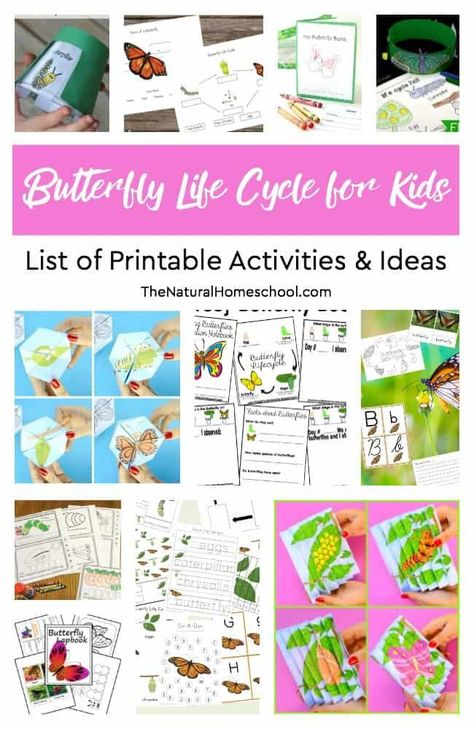 Butterfly Life Cycle for Kids ~ List of Printable Activities & Ideas https://www.thenaturalhomeschool.com/butterfly-life-cycle-for-kids-list-of-printable-activities-ideas.html?utm_campaign=coschedule&utm_source=pinterest&utm_medium=The Natural Homeschool&utm_content=Butterfly Life Cycle for Kids ~ List of Printable Activities and Ideas This is an amazing list of printable activities about the butterfly life cycle for kids to learn, enjoy and get creative! In this list, Butterfly Science Activities, Preschool Butterfly Theme, Pollination Activity, Butterfly Life Cycle Activity, Butterfly Life Cycle Craft, Life Cycle Activities, Butterfly Lessons, Raising Butterflies, Cycle For Kids