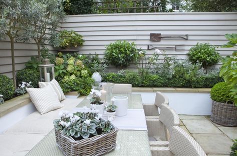 Small Garden Ideas Modern, Garden Italy, Mediterranean Theme, Garden Seating Area, Small Courtyard Gardens, Courtyard Gardens Design, Colour Full, White Hydrangeas, London Garden