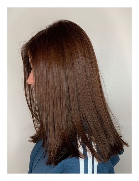 Light Chestnut Brown Hair Color, Hair Color Chestnut Brown, Amber Brown Hair, Chestnut Brown Hair Color, Dark Hair Hairstyles, Hair Color Brown Chestnut, Rambut Brunette, Chestnut Hair, Chestnut Hair Color