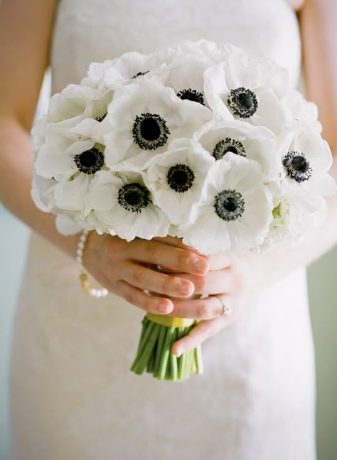 Anemone Flower Bouquet, Anemone Bridal Bouquet, Tulip Bridal Bouquet, White Anemone Flower, Anemone Bouquet, Gorgeous Wedding Bouquet, Bouquet Images, Tulip Wedding, White Anemone