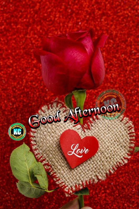 Good afternoon vishes whatsapp facebook status image HD Good Afternoon Images Quotes, Good Afternoon Images Hd, Good Afternoon Images, Afternoon Images, Evening Pictures, Bow Pillows, Jesus Videos, Afternoon Quotes, Night Greetings