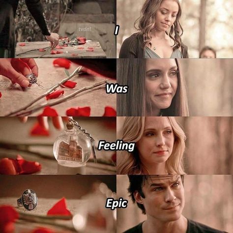 Elena Salvatore, I Was Feeling Epic, Vampire Diaries Memes, Vampire Diaries Poster, Damon Salvatore Vampire Diaries, Vampier Diaries, Vampire Diaries Quotes, Vampire Diaries Wallpaper, Epic Movie