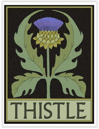 Thistle Logo, Fiori Art Deco, Motifs Art Nouveau, American Traditional Tattoo Ideas, Traditional Tattoo Ideas, Art Nouveau Illustration, Thistle Flower, Art And Craft Design, Arts Crafts Style