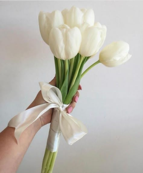 Tulip Hand Bouquet Wedding, Tulip Bridesmaid Bouquet, Tulip Bouquet Wedding, Tulip Bridal Bouquet, White Tulip Bouquet, Small Bridal Bouquets, Simple Wedding Bouquets, Bridesmaid Bouquet White, Tulip Wedding